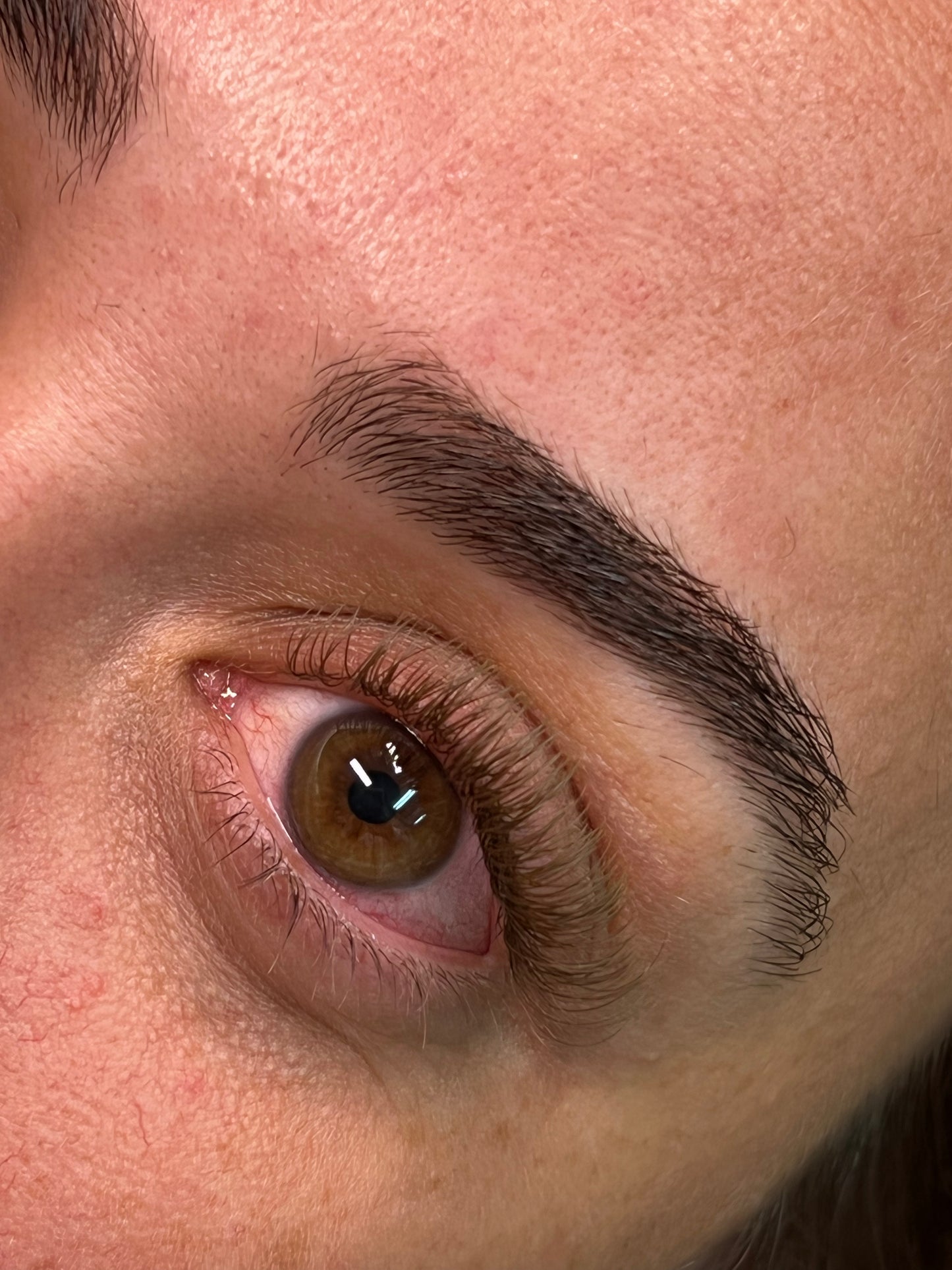 Golden Brown Flat Lashes